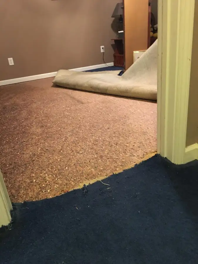 Carpet pad removal revealing water damage during Water Mitigation Services in Edgewood