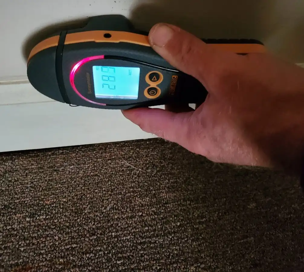 Moisture detection at baseboard during Burst Pipe Cleanup in Edgewood